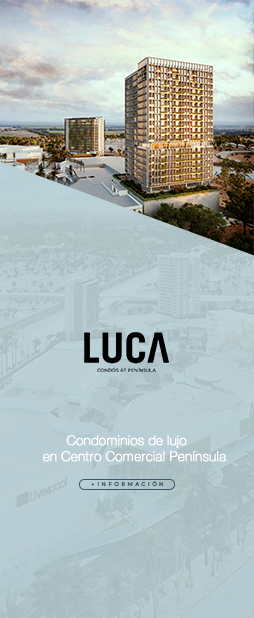 luca1.png